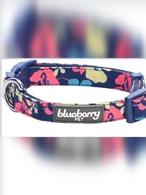 Blueberry Pet XS Dog Collar
